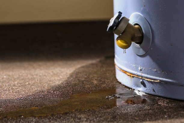 Trusted Dortches, NC Water damage restoration Experts