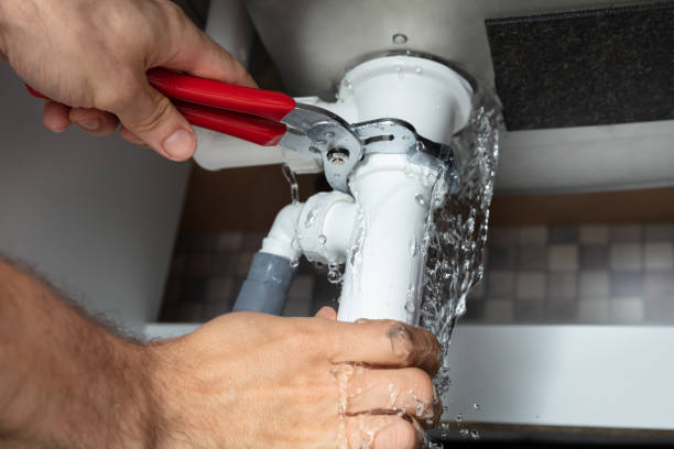 Best Fire Damage Restoration  in Dortches, NC