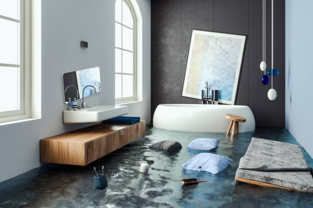 Best Flood damage cleanup  in Dortches, NC