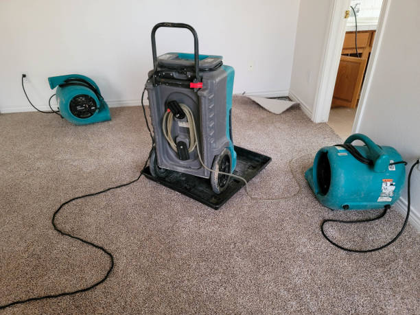  Dortches, NC Water damage restoration Pros