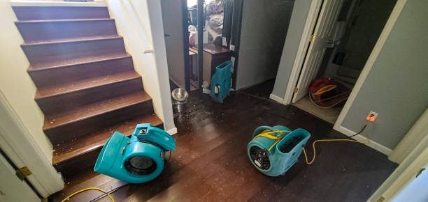 Best Water damage restoration near me  in Dortches, NC