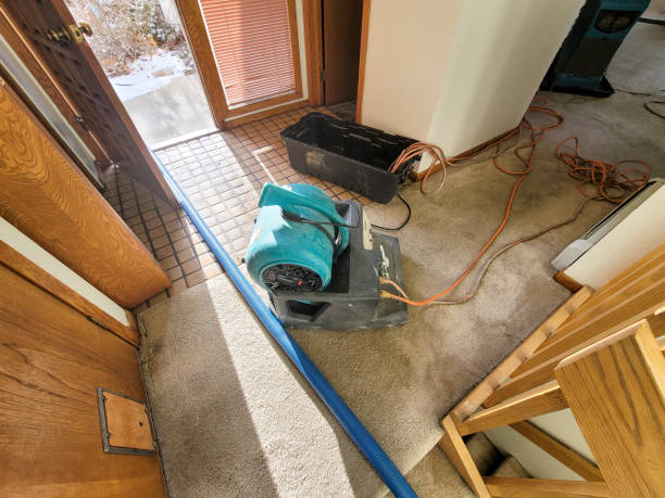 Best Water damage repair service  in Dortches, NC