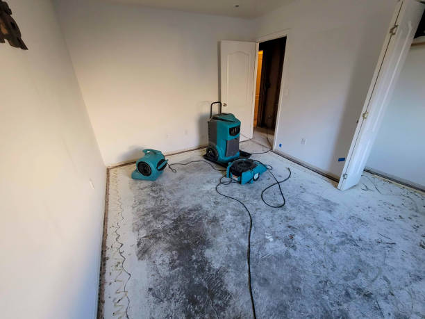 Best Professional water damage repair  in Dortches, NC