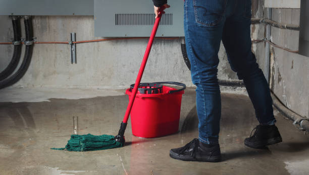 Best 24-hour water damage restoration  in Dortches, NC