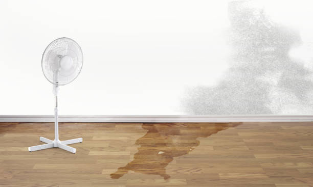 Best Commercial water damage restoration  in Dortches, NC