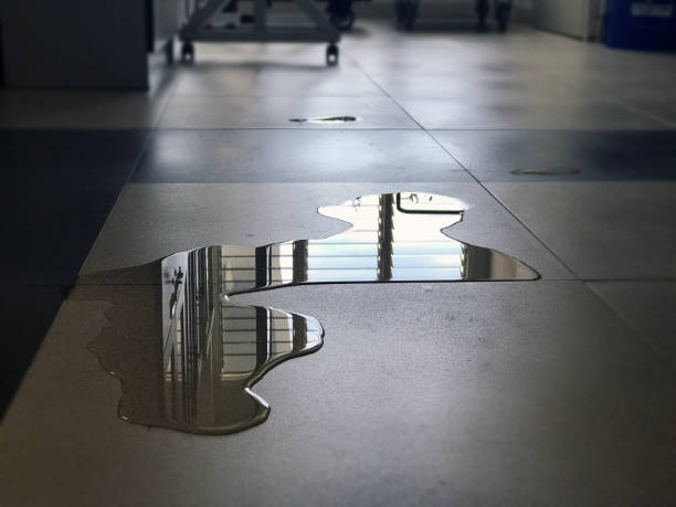 Best Carpet water damage restoration  in Dortches, NC