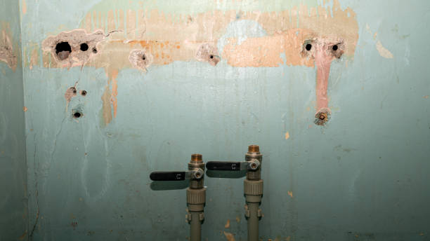 Best Water damage contractors near me  in Dortches, NC