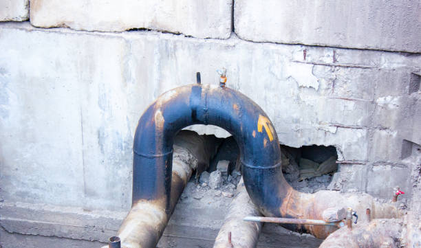 Best Mold removal after water damage  in Dortches, NC