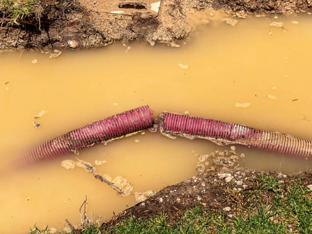 Best Water damage restoration near me  in Dortches, NC