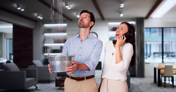 Best Flood restoration services  in Dortches, NC