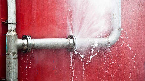 Best Carpet water damage restoration  in Dortches, NC